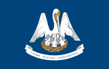 Louisiana flag